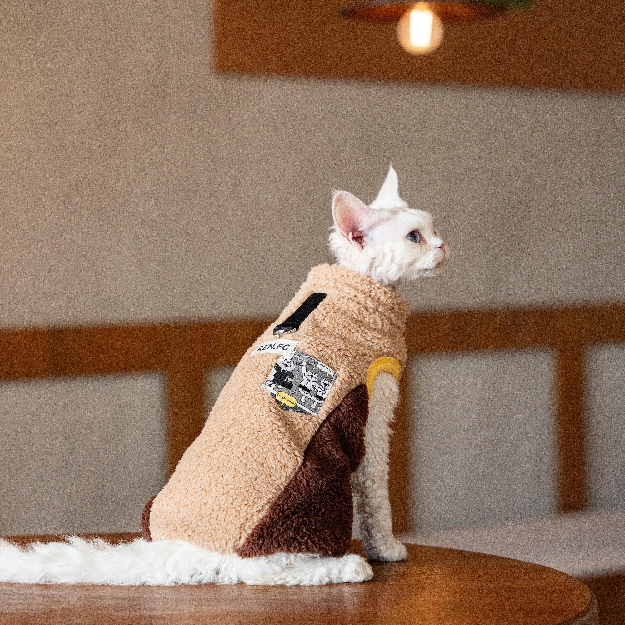 保暖双面绒发热马甲牵引德文猫衣服斯芬克斯无毛猫柯尼斯阿比,宠物/宠物食品及用品,猫宠物服装/雨衣（新）,淘宝优惠券,粉丝福利购,淘宝优惠卷