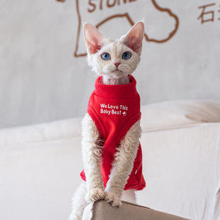 纯棉过年居家打底柔软纯棉德文猫衣服斯芬克斯无毛猫柯尼斯阿比