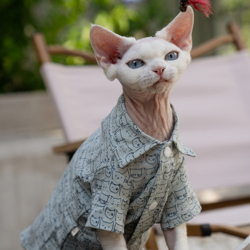 卡通猫头衬衫纯棉透气