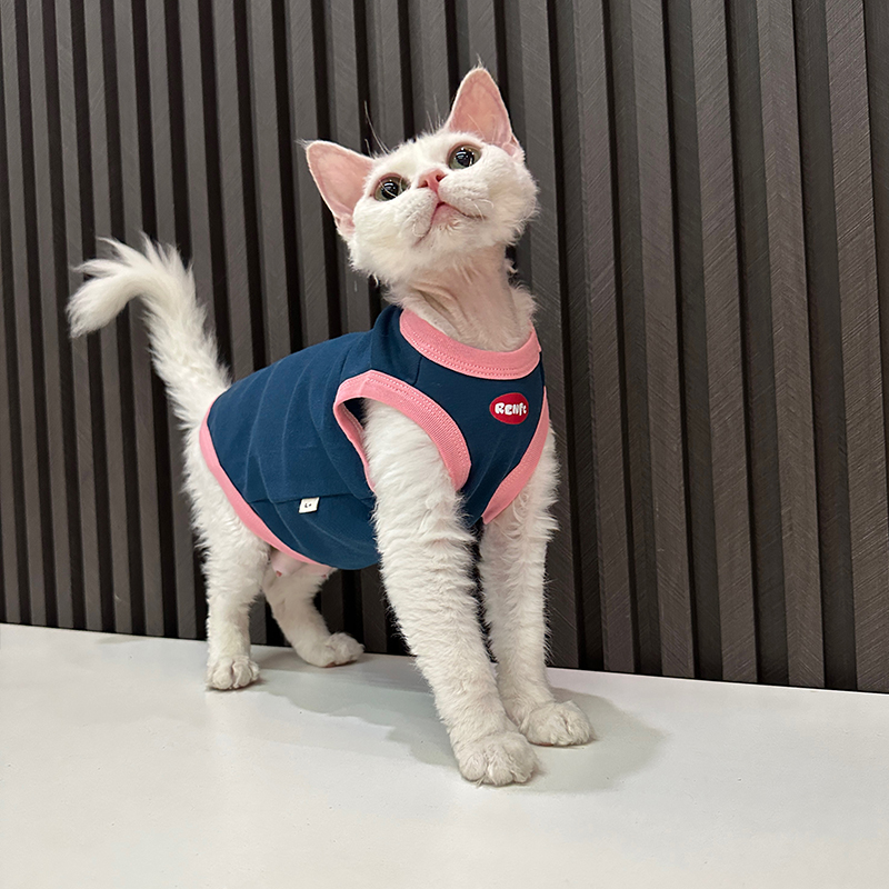 任发财原创潮牌背心纯棉无毛猫衣服德文衣服斯芬克斯猫可爱-封面