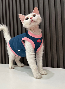 任发财原创潮牌背心纯棉无毛猫衣服德文衣服斯芬克斯猫可爱