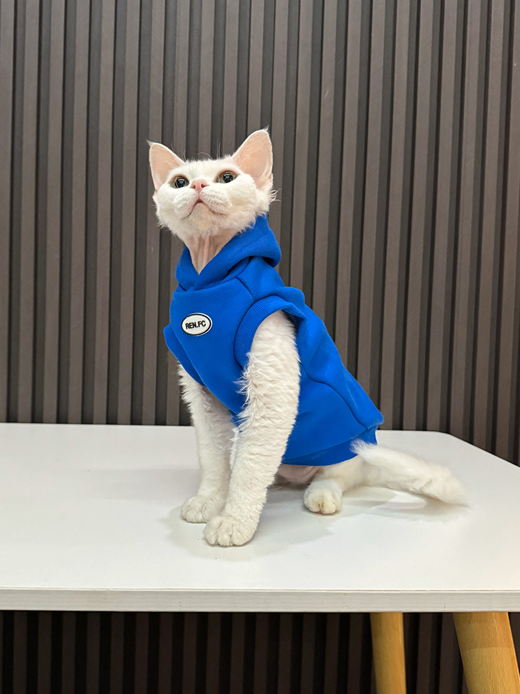 克莱因蓝加绒马甲连帽衫任发财无毛猫衣服斯芬克斯猫德文衣服