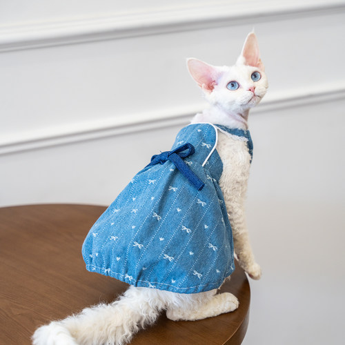 任发财 纯棉吊带蝴蝶结连衣裙无毛猫衣服德文衣服斯芬克斯猫