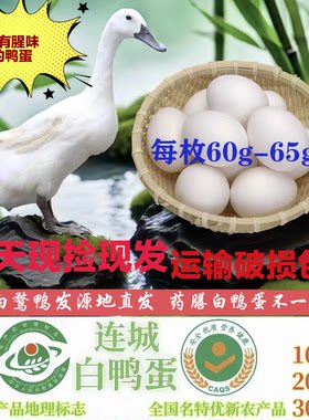 正宗连城白鸭蛋鲜鸭蛋白鹜蛋鸭可孵化小鸭蛋新鲜种农家蛋顺丰包邮