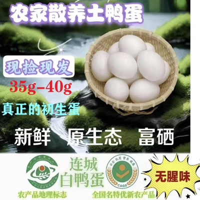 初生蛋正宗连城白鸭蛋鲜鸭蛋白鹜鸭白鹭鸭蛋土鸭新鲜农家散养包邮