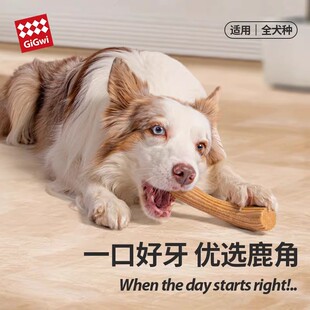GiGwi贵为狗狗玩具磨牙棒鹿角幼犬磨牙洁齿中小型犬解闷耐咬神器