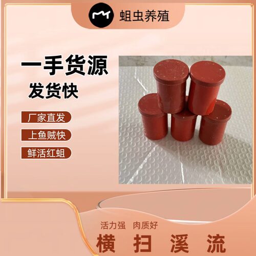 野钓鲜活红蛆虫溪流石斑鱼马口白条鲫鱼绝杀盒装饵料红蛆2024