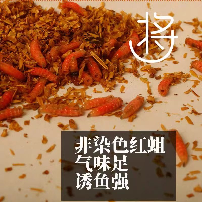 野钓牙子红曲虫溪流钓饵鲜活红蛆虫活饵苍蝇幼虫肉蛆虫鲫鱼水库