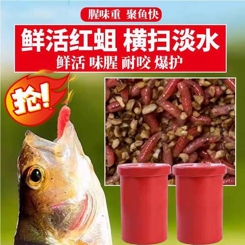 新鲜红蛆虫活饵鲜活溪流公鱼石斑鱼马口野钓白条牙子鲫鱼钓鱼饵料