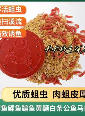 新款活饵红蛆钓鱼神器溪流野钓鲫鱼石斑鱼马口白条盒装红蛆虫
