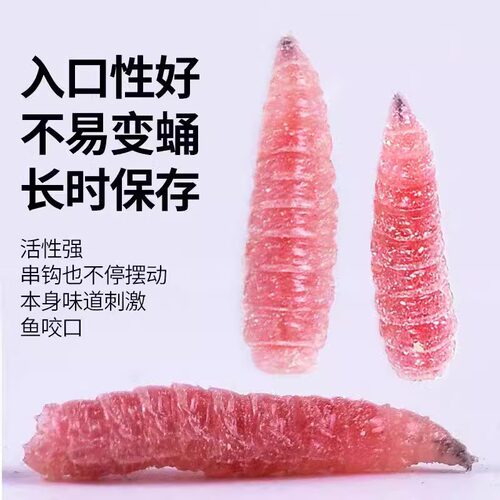 活体钓饵红蛆虫溪流湖泊马口石斑白条鲫鱼野钓牙子秋冬新鲜活饵料