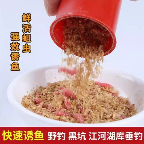 爆护鲜活红蛆虫野钓神饵浓腥钓鱼饵户外溪流水库石斑马口鲫鱼