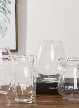 现代简约水培花盆绿萝水培玻璃龙蛋花瓶 摆件鱼缸 透明水培植物器