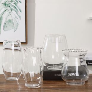 现代简约水培花盆绿萝水培玻璃龙蛋花瓶 透明水培植物器 摆件鱼缸