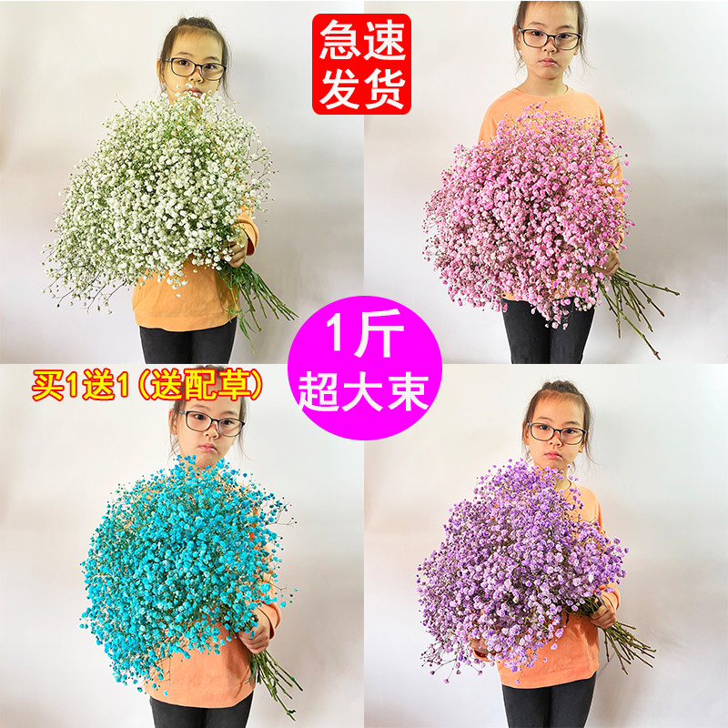 买一送一云南超大束满天星干花花束真花家用鲜花客厅装饰摆件论斤