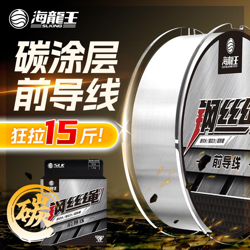 海龙王前导线路亚子线