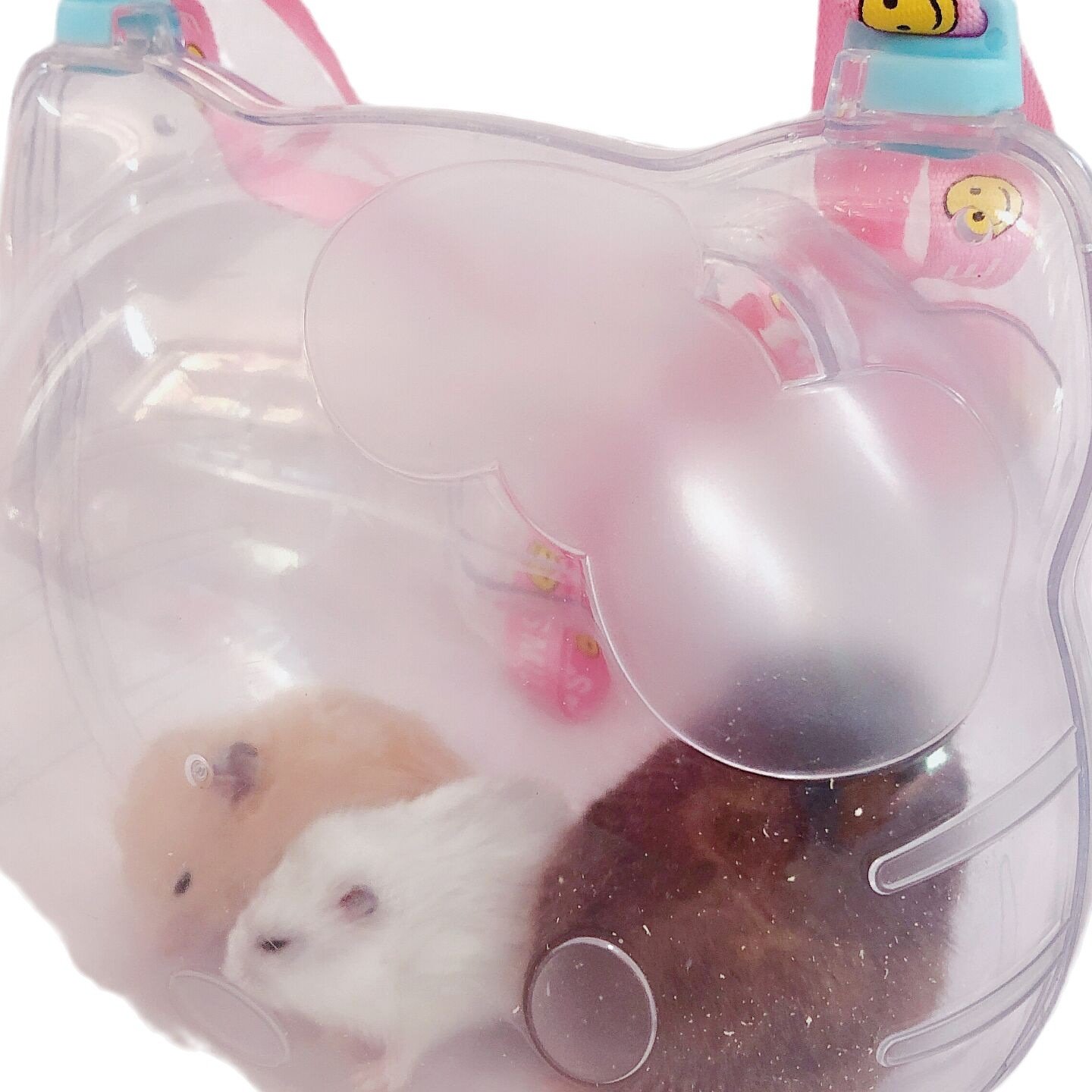 波尔手提外带笼新款仓鼠金丝熊运输盒背带笼便携（全透明）。,宠物/宠物食品及用品,窝,淘宝优惠券,粉丝福利购,淘宝优惠卷