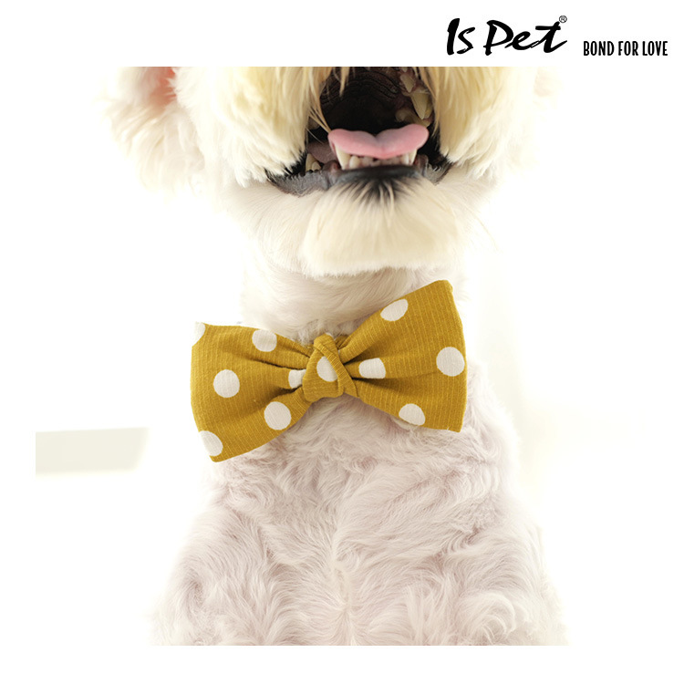 ISPETWowfactor宠物猫兔鼠bowtie单层领结带蝴蝶结项链BA0073