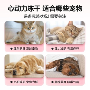 冻干猫零食树叶护心片冻干老年犬宠物心脏内脏零食增肥发腮猫冻干