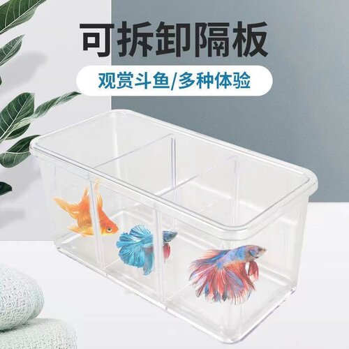 可拆卸隔板斗鱼缸高清多格斗鱼盒桌面造景小型鱼缸生态斗鱼组缸QL