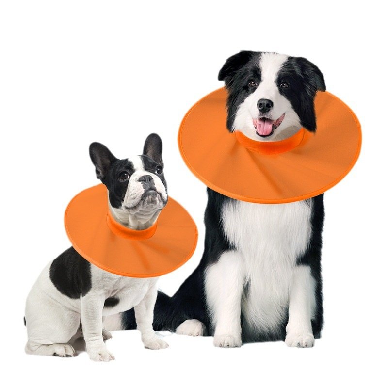 新品宠物用品狗头套伊丽莎白圈防舔舐防咬猫项圈防抓太空头罩,宠物/宠物食品及用品,宠物伊丽莎白圈,淘宝优惠券,粉丝福利购,淘宝优惠卷