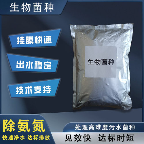 菌种污水处理中州绿洁生物菌剂