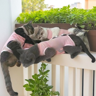 猫咪绝育服母猫手术服.猫咪手术衣防舔防感染.透气弹力大医院专用