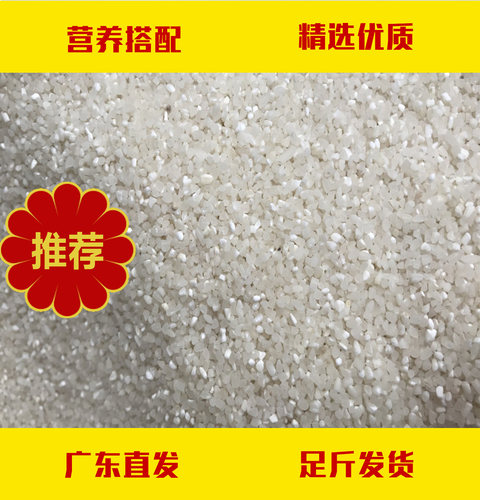 碎米鸡鸭鹅马牛羊仓鼠钓鱼打窝