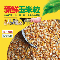 黄玉米颗粒喂鸡鸭鹅鸽牛羊猪马兔动物饲料宠物粮钓鱼打窝甜苞米