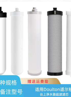 适用DIS净水器Doulton道尔顿HCPM12 DUS HISM12滤芯FIP201 FCP201