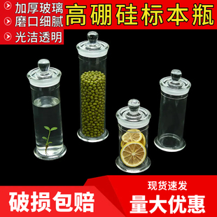 加厚料透明 玻璃标本瓶标本缸植物样品瓶展示瓶福尔马林液浸泡瓶