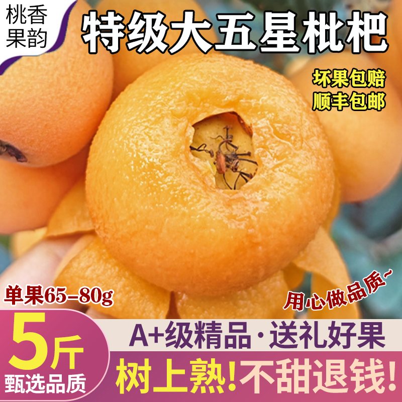 【特级】四川五星大枇杷现摘现发新鲜当季水果纯甜无酸正宗特大果