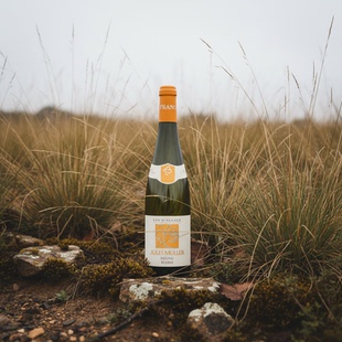 【小渣爱酒】法国阿尔萨斯穆勒酒庄珍藏雷司令干白葡萄酒2023年