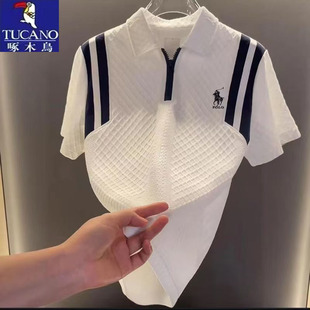 T恤华夫格时尚 啄木鸟男士 短袖 夏季 百搭上衣 欧货轻奢翻领polo衫