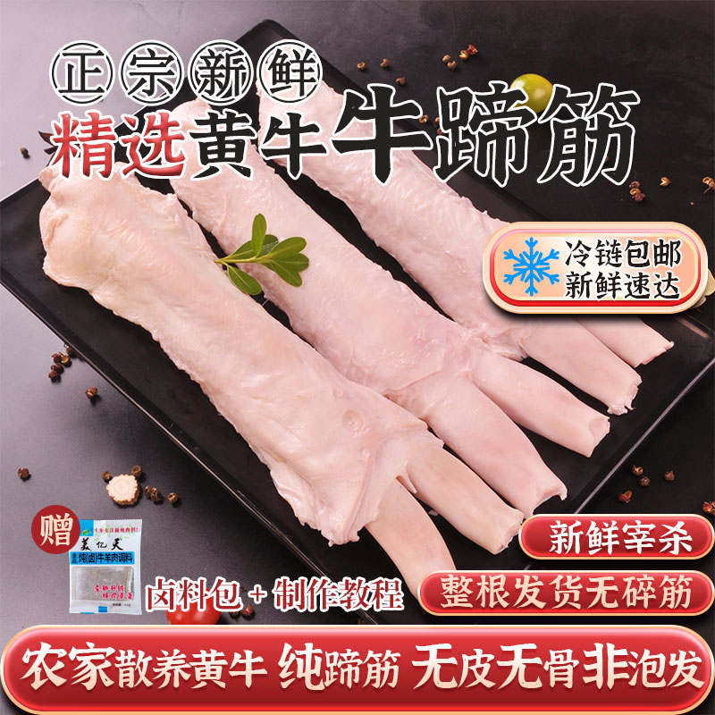 新鲜蹄筋生牛筋牛蹄筋生鲜牛筋纯筋新鲜黄牛生牛筋脱骨无皮牛蹄筋