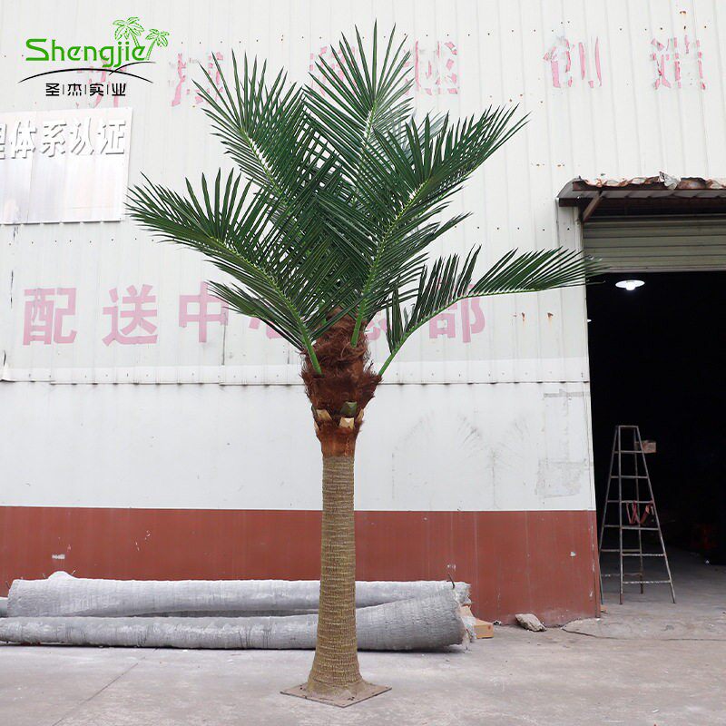 仿真仿真椰子树商场室内外装饰棕榈树海藻植物大型户外造景椰子树