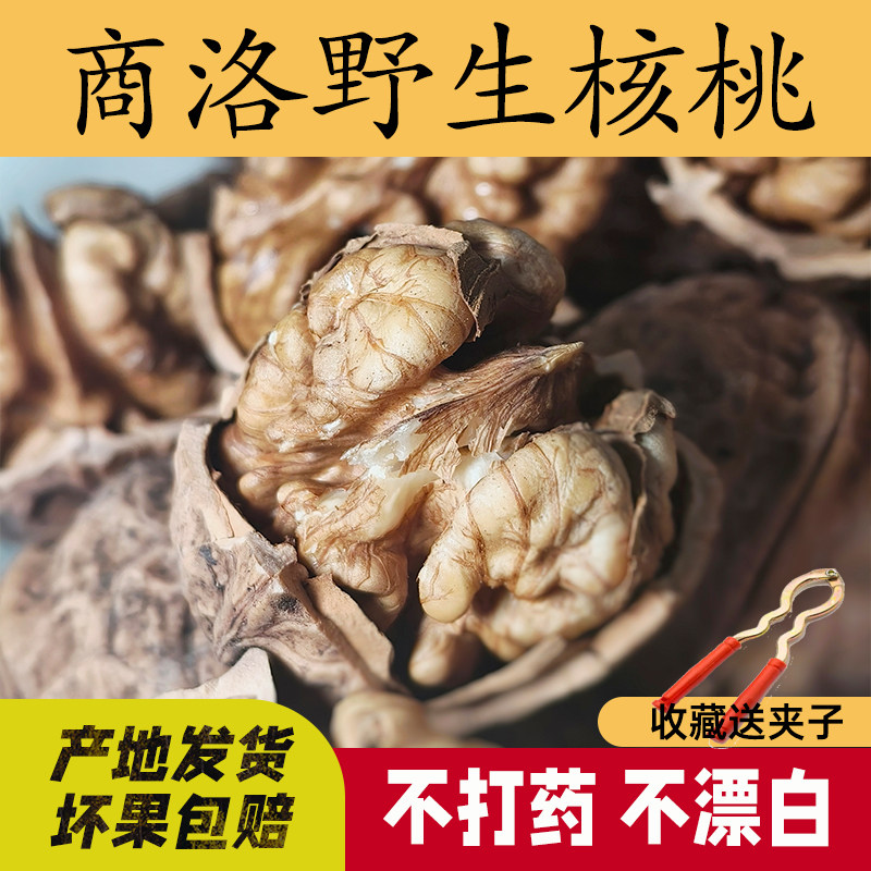 商洛野生核桃原味厚皮老品种老树核桃原味山核桃孕妇小孩坚果零食
