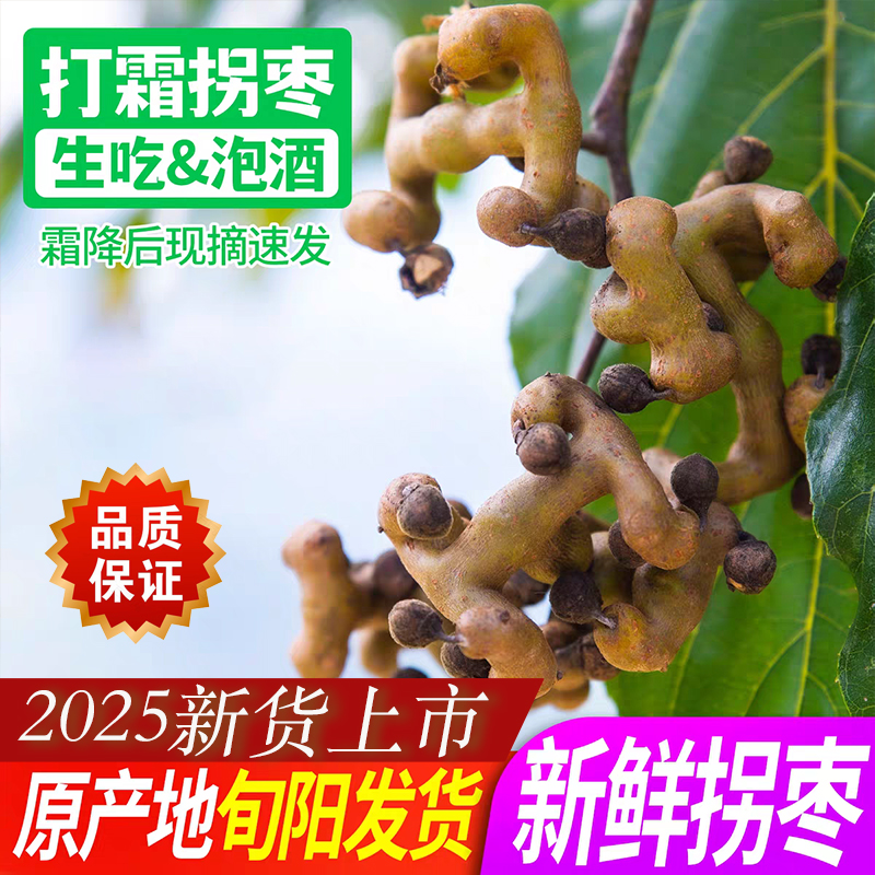 2025安康旬阳拐枣新鲜现摘现发