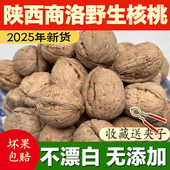 秦岭野生核桃2025新货晒干无漂白商洛老树厚皮农家土特产原味大果