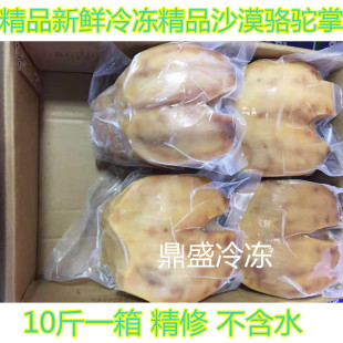 新鲜骆驼肉 驼掌 半熟骆驼掌骆驼脚冷冻去骨去毛整箱10斤4～9只装