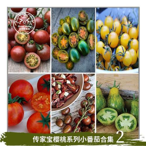 传家宝樱桃番茄种子高产超甜多汁