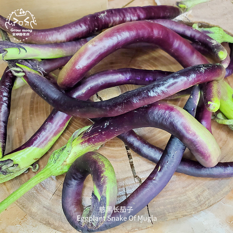 慈黑穆拉省蛇长茄子种子浓郁肉嫩味甜高产传家宝春秋阳台盆栽蔬菜,鲜花速递/花卉仿真/绿植园艺,家庭园艺种子,淘宝优惠券,粉丝福利购,淘宝优惠卷