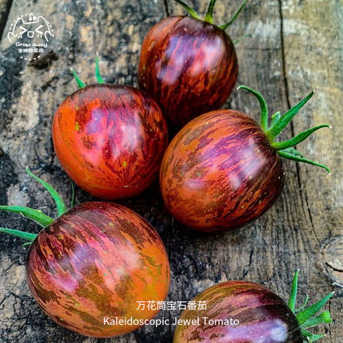 万花筒宝石番茄种子超甜浓郁果味