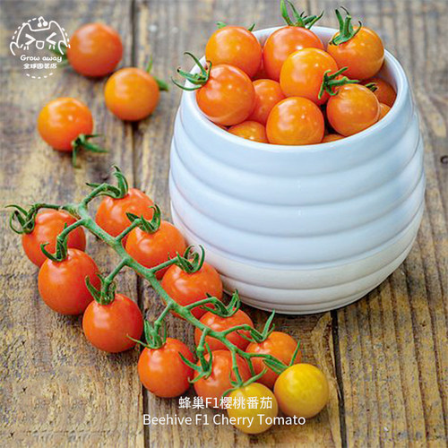 蜂巢樱桃小番茄种子多汁超甜高产