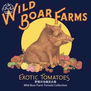 野猪农场番茄种子合集牛排樱桃番茄高产浓郁抗性强传家宝春秋盆栽