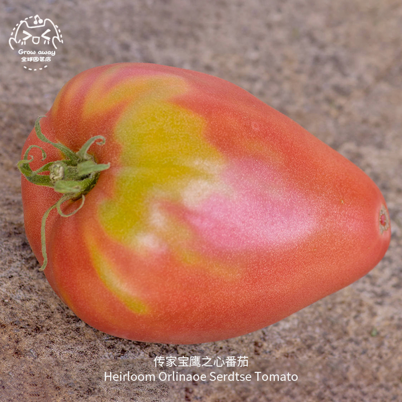 鹰之心番茄种子肉质浓郁紧致味甜