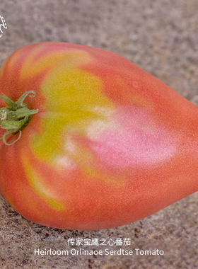 鹰之心番茄种子肉质浓郁紧致多汁籽少味甜传家宝春秋阳台盆栽蔬菜