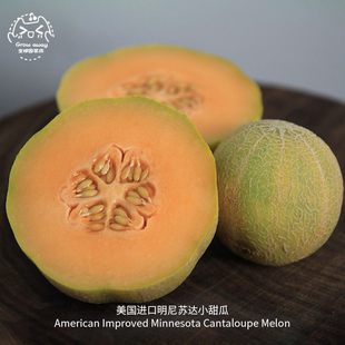 明州迷你小甜瓜种子传家宝甜蜜早熟多汁超甜可留种阳台春秋盆栽