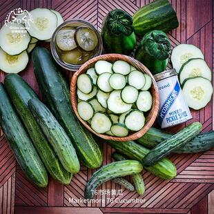 76市场黄瓜种子甜蜜酥脆高产浓郁传家宝春秋室内阳台盆栽易种蔬菜