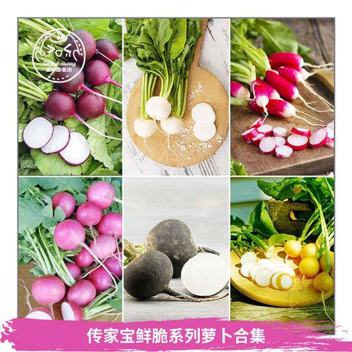 传家宝樱桃合集迷你皮薄甜脆多汁